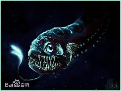 五大恐怖深海动物，深海警告胆小的勿入哦，小心看了晚上做噩梦