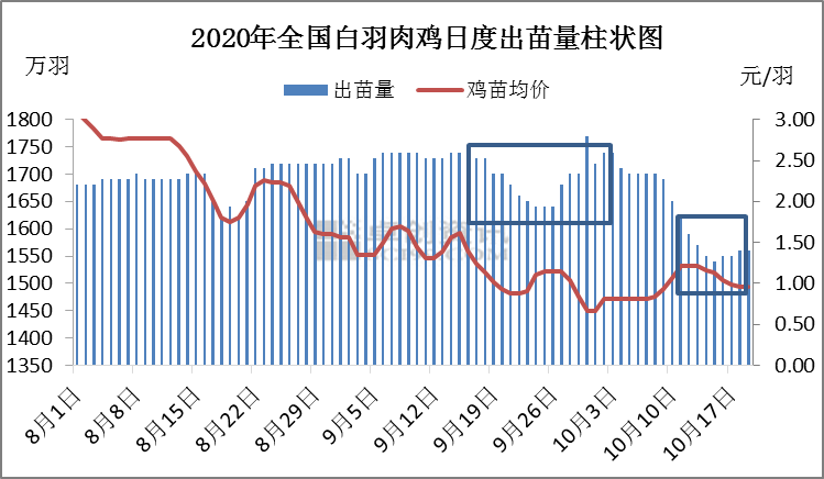 白羽肉鸡价格连稳超10天 鸡价到底涨不涨？