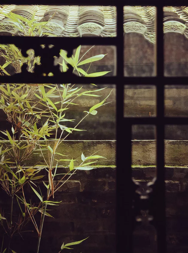 「诗词鉴赏」在古诗词里，聆听夏天的风，聆听自己的心声-第12张图片-非凡网