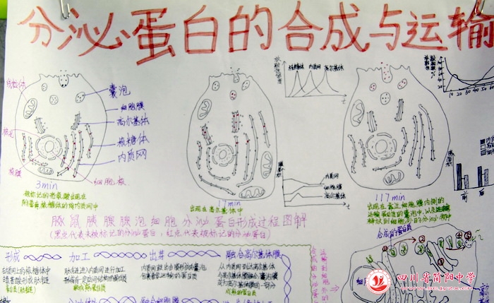 四川省简阳中学怎么样?首届生物学科节(图12)