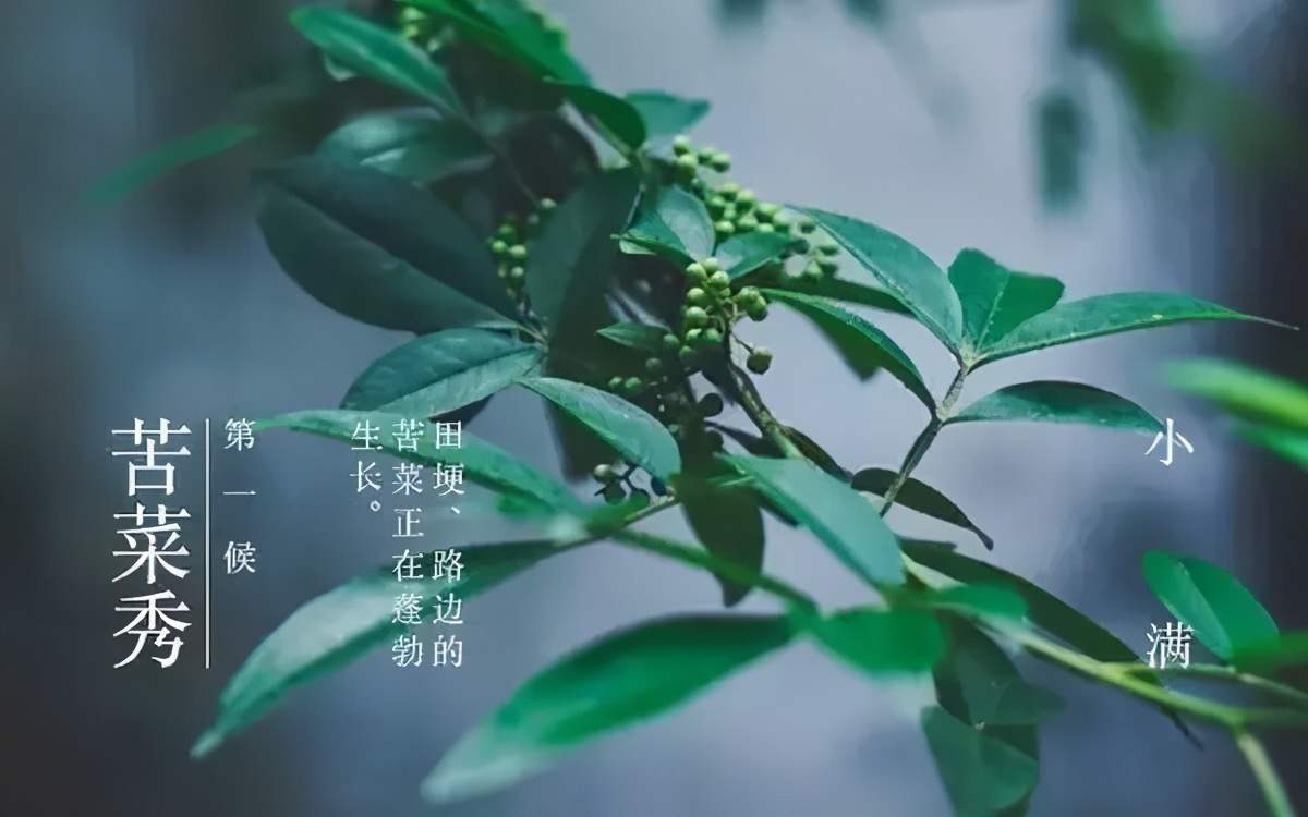 小满 | 欢喜自在，小得盈满