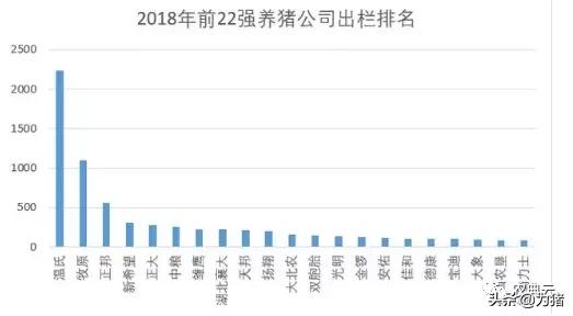 22个猪企2021年出栏规划18967万头，增长142.9%