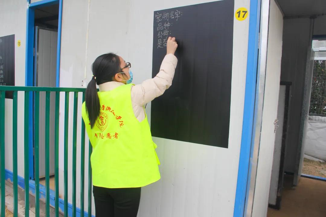 浙动保金华中心“关爱动物，温暖宠心”活动圆满结束