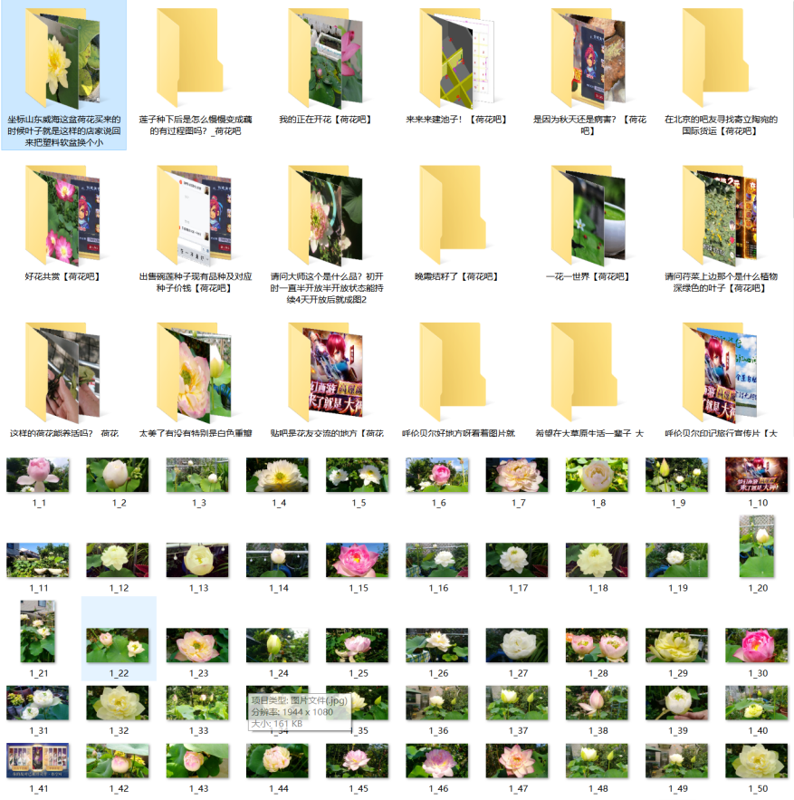 贴吧图片如何批量下载原图到电脑，这个方法比较简单