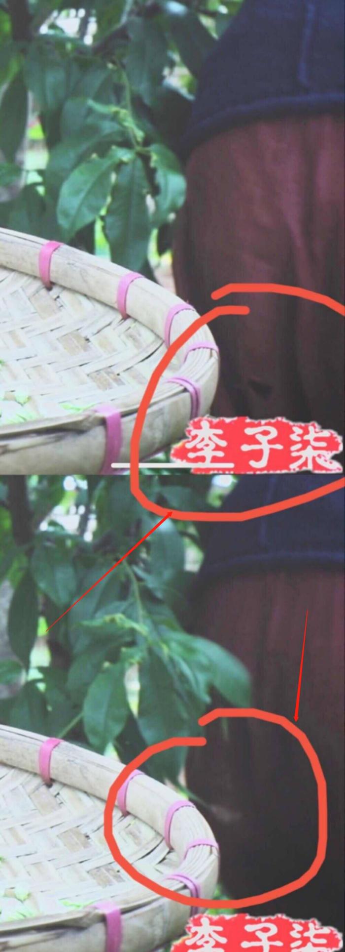 李子柒因土豆上热搜，注意力却在她的裤子上，这眼神怕不是显微镜