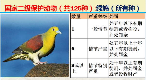 国家最新125类二级野生保护名录，图片及违法对应刑责