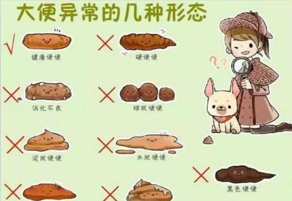 The poop sticks to the toilet and it is always flushed?These 3 problems