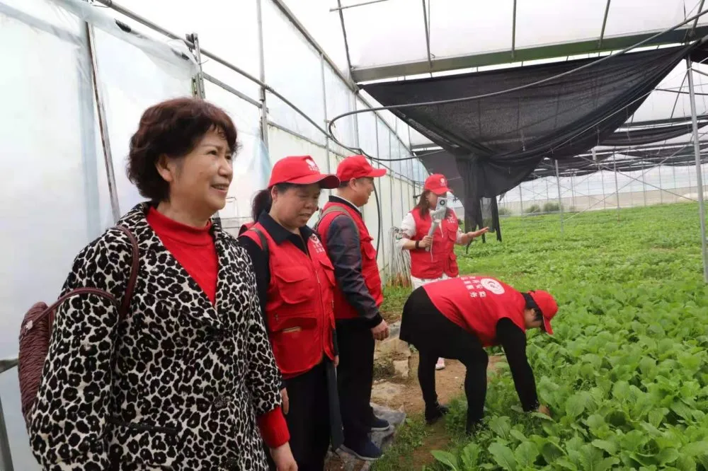 利佳蔬果质量连续10年通过国检和省检