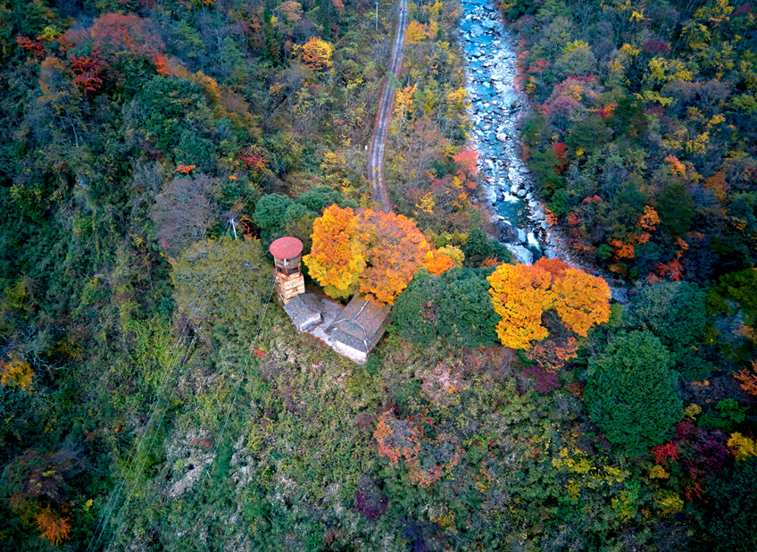 四川|媲美光雾山！平武这条沟，藏着一个惊艳的彩林秘境！