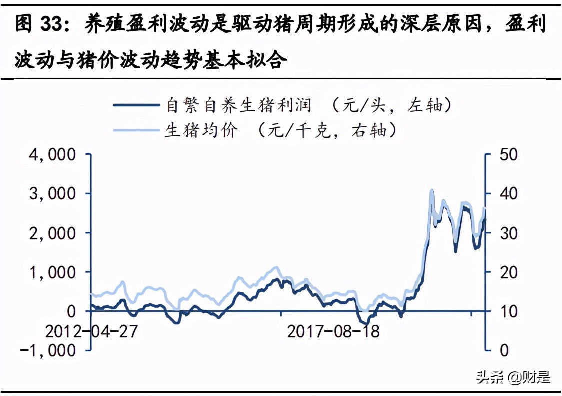生猪养殖行业深度报告：生猪龙头，强者恒强