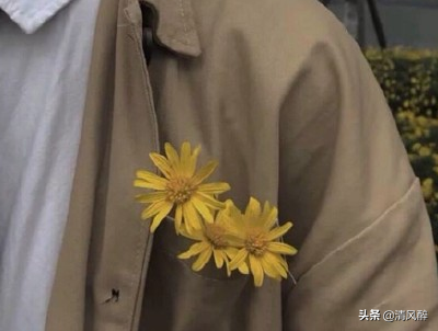 喝酒的搞笑句子必须点赞的说说