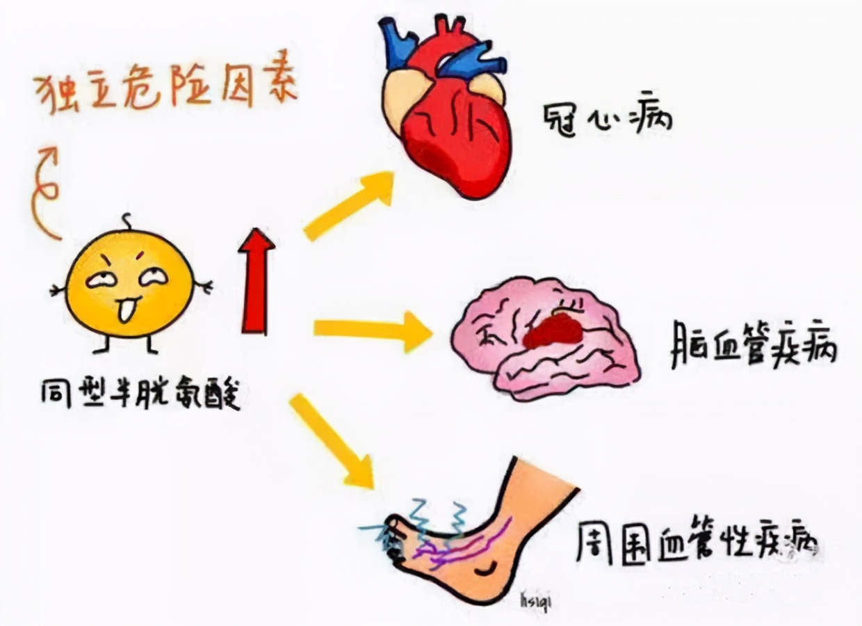 发现160～170的高血压3年未治，检查都发现了什么？