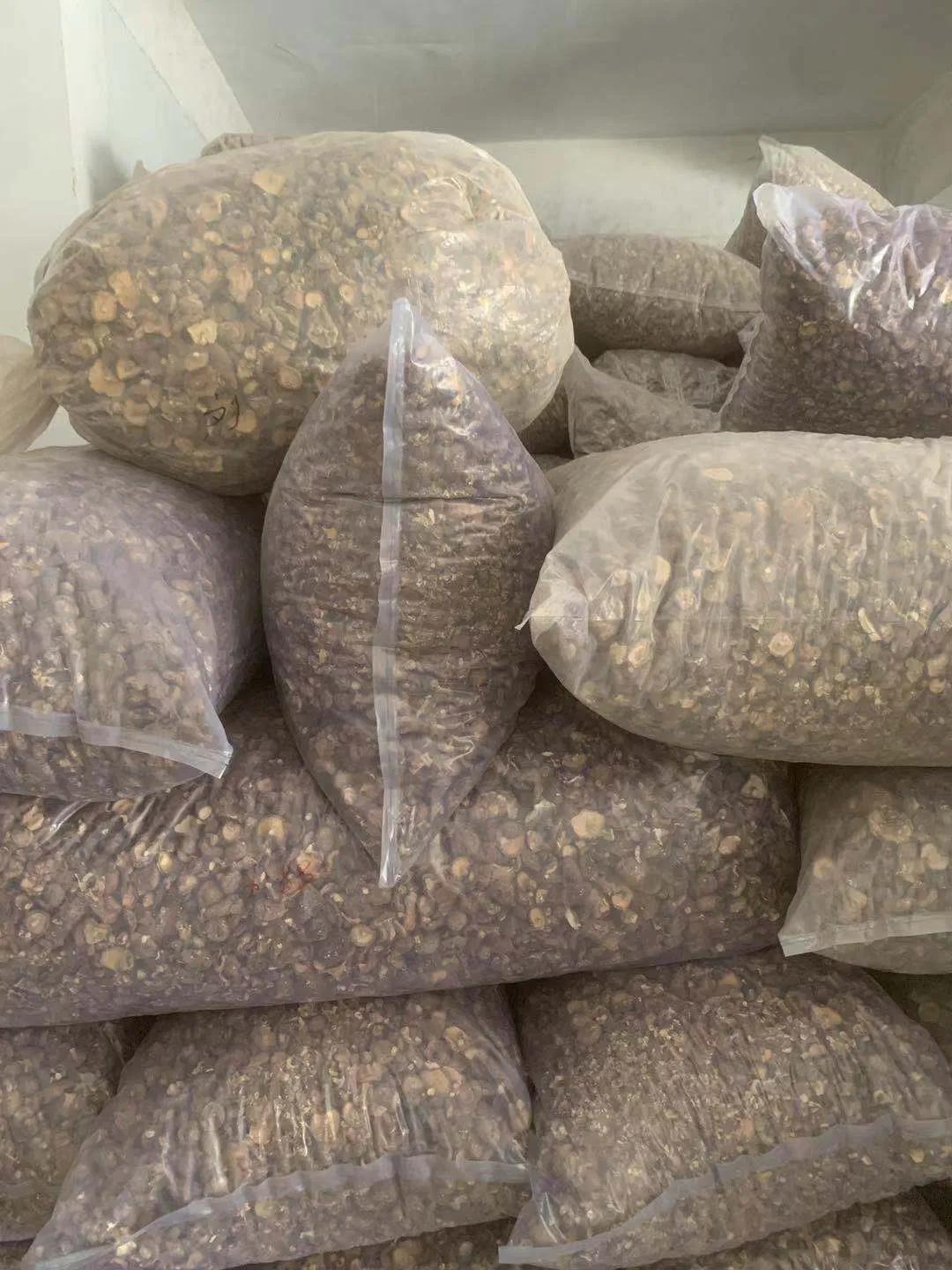 90后小伙返乡创业卖香菇，一亩田开店不到一个月交易额超15万