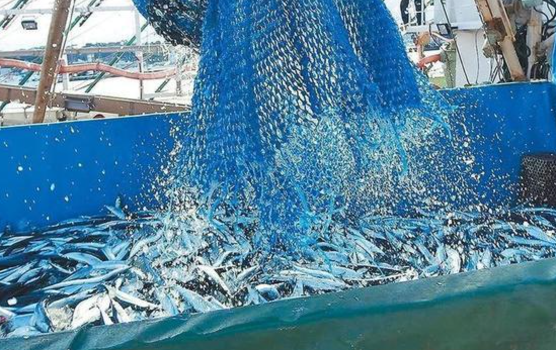 瞒不住了？蔡英文首度松口，承认日方对核食进口的关切丨海峡两岸