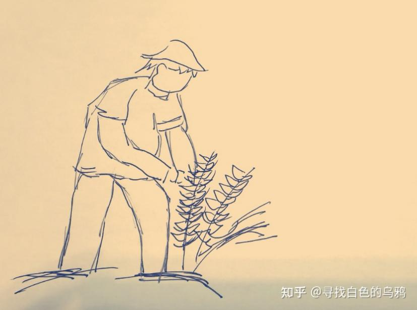 你在种小麦吗？不，我在进行一场修行819 / 作者:UFO爱好者 / 帖子ID:69717