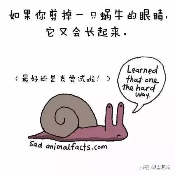 30個(ge) 有趣的科普小星空体育官网入口网站，你知道幾個(ge) ?