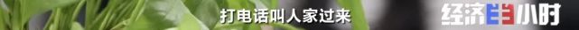 欠费12亿！突然宣布：全部停业