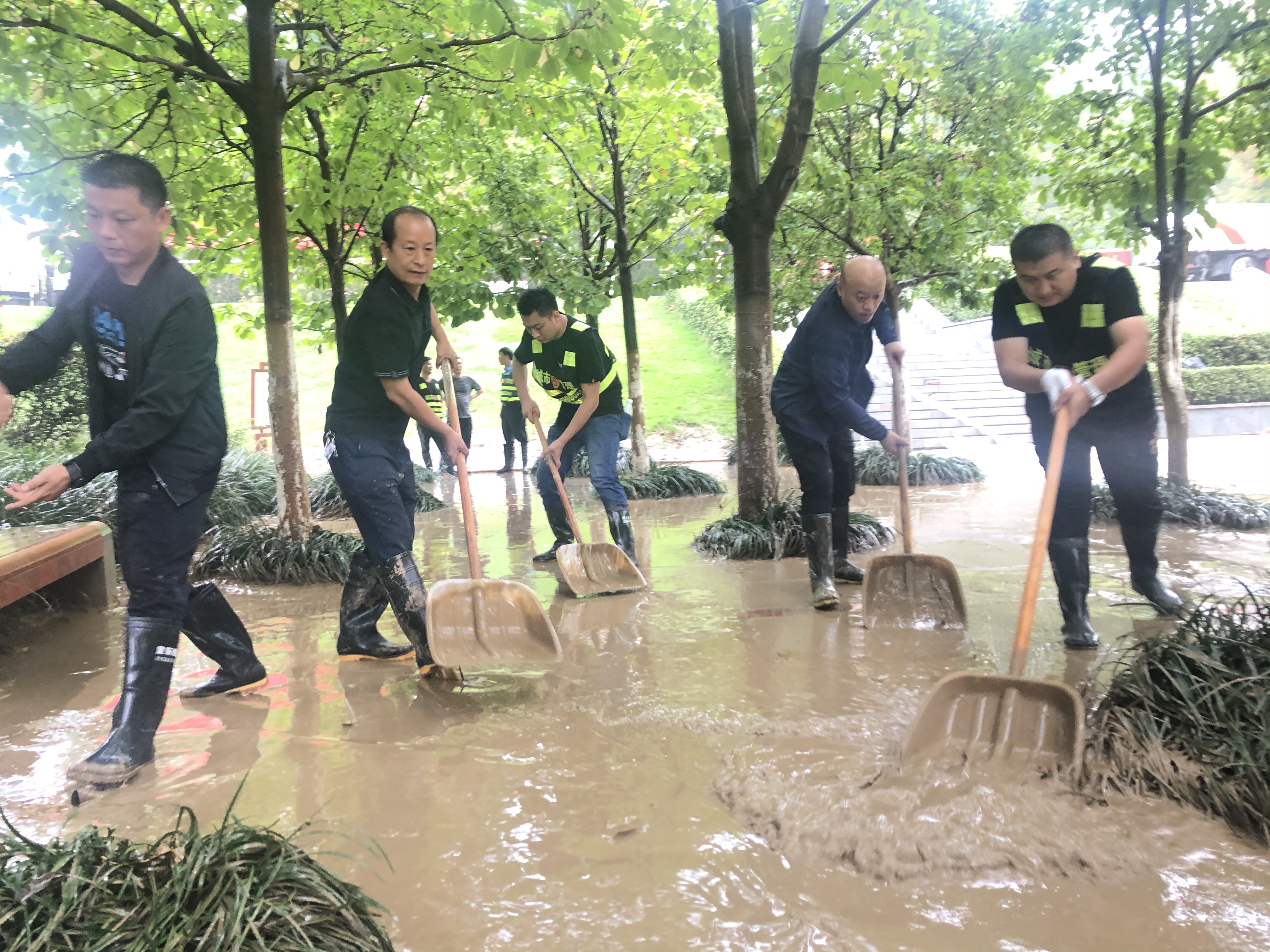 漯河城管雨中清淤“连战”获市民热赞