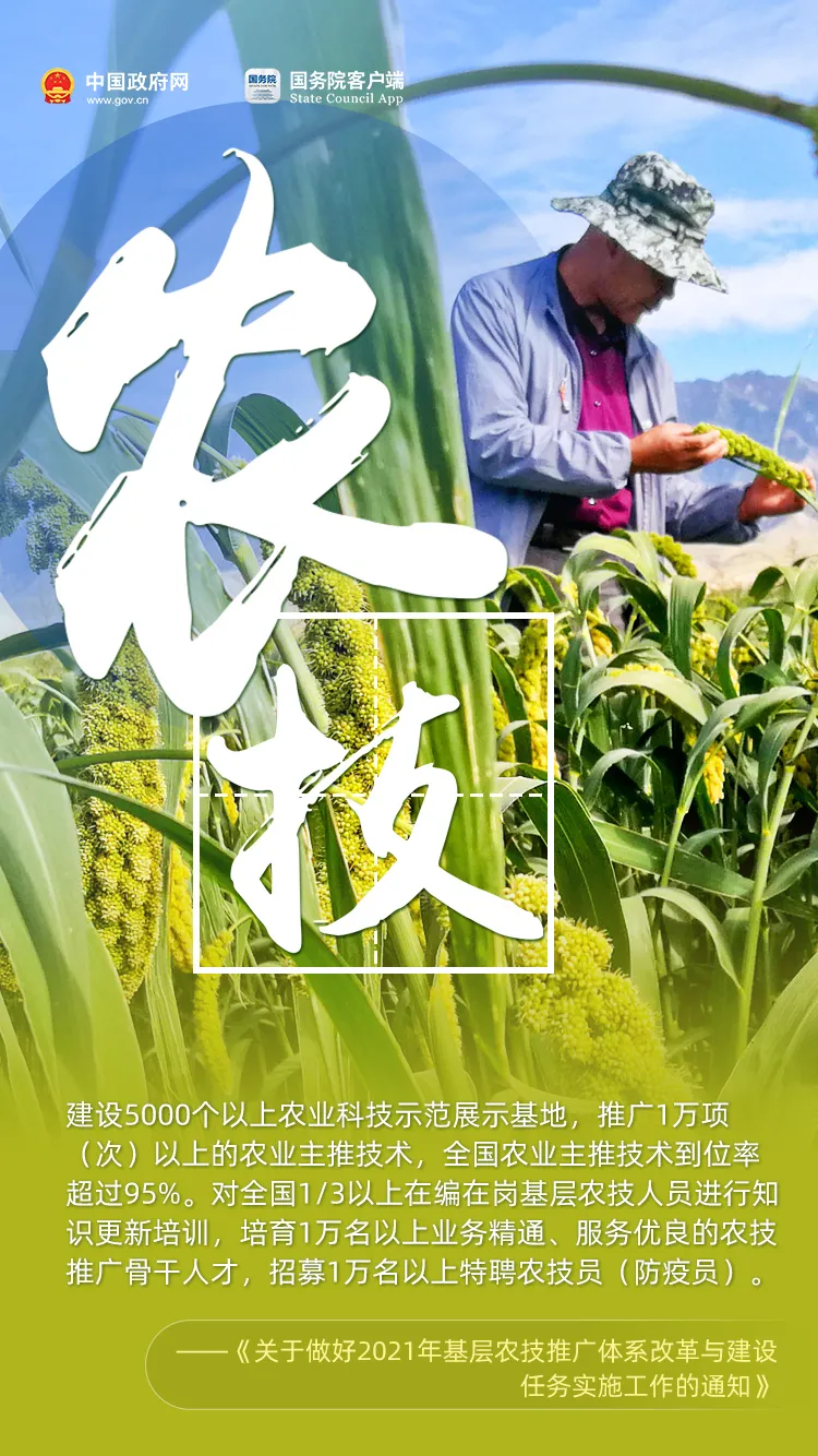 農(nóng)民朋友們!過節(jié)了,!