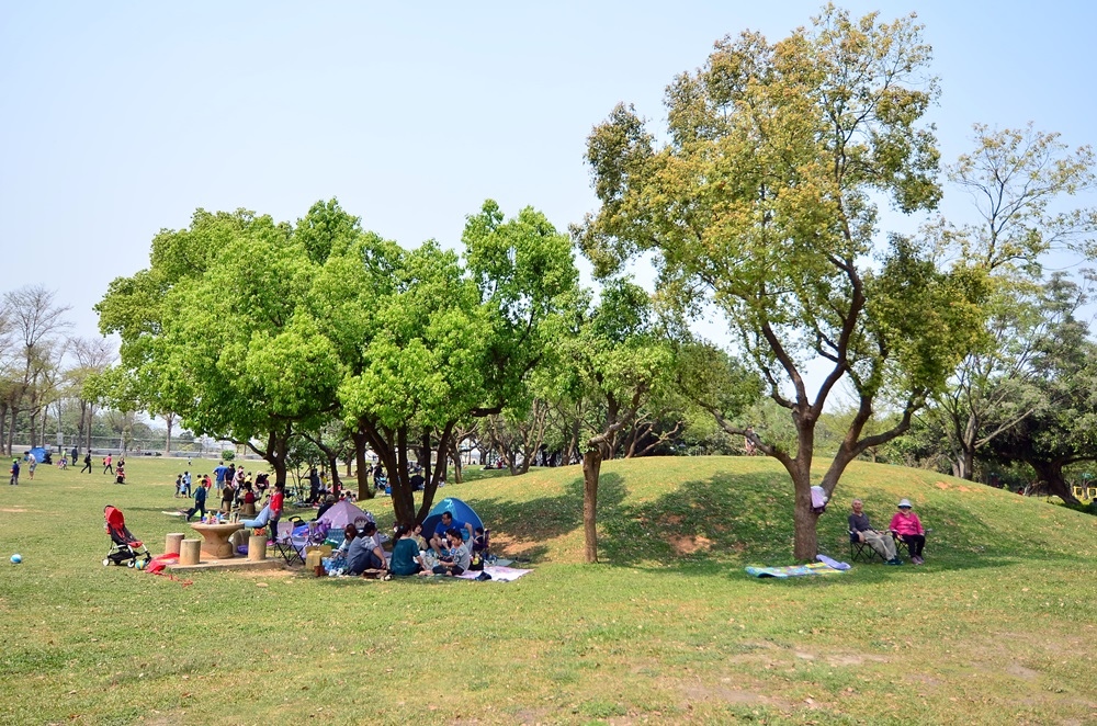 夏天草坪裏那些常見的小蟲子，到底有多危險？咬一下可能致命