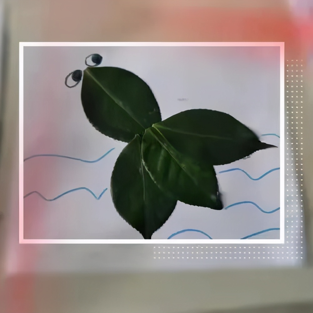 ��֮��.ֲ�̻���--�����еھ�Сѧֲ���ڻ��Ӱ