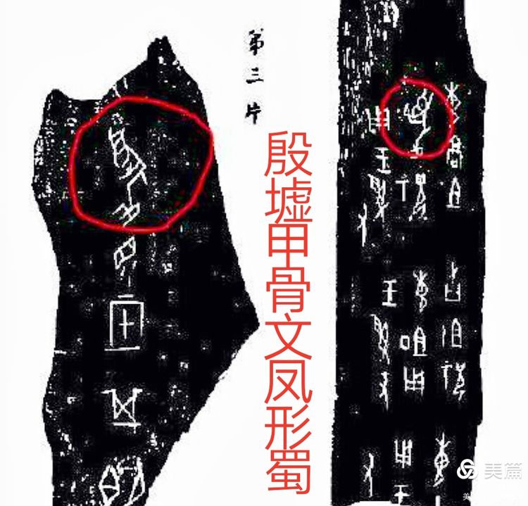 黃鎮山：三星堆巴國文物注解