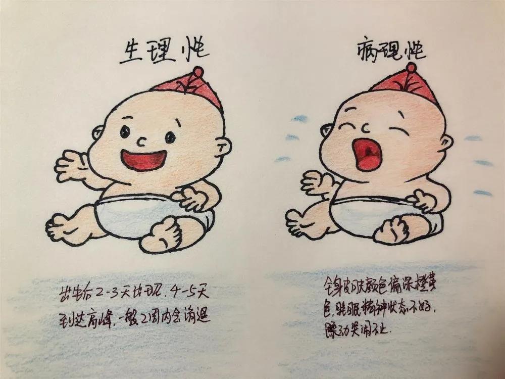 健康科普大赛获奖作品展示③|新生儿黄疸早知道