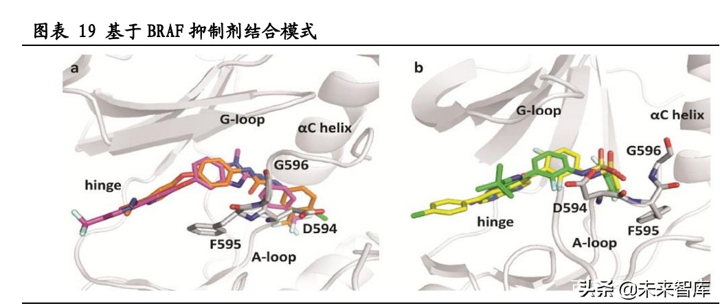 伴随诊断行业研究：核心技术突破不断，伴随诊断迎高速发展期