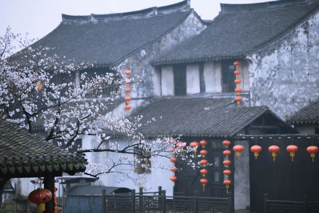 陆游失眠了一夜，在旅馆写下一首千古名作，三四句绝美成网上金句