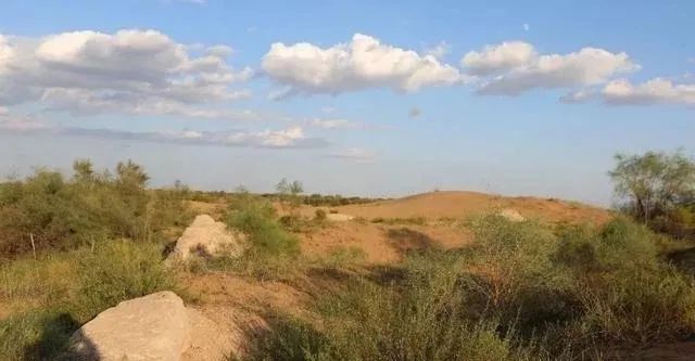 象群北迁，降雨线北移，大陆国家的盛世来了