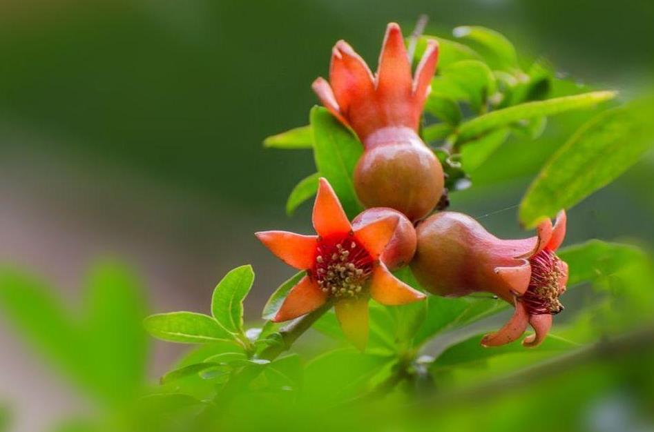 写给奔六的60后：人到老年，宁可孤独，也别轻谈感情，要警惕