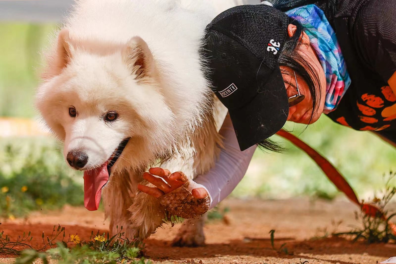 2021狗巴迪勇士赛首站登陆北京 人犬合作征战障碍赛