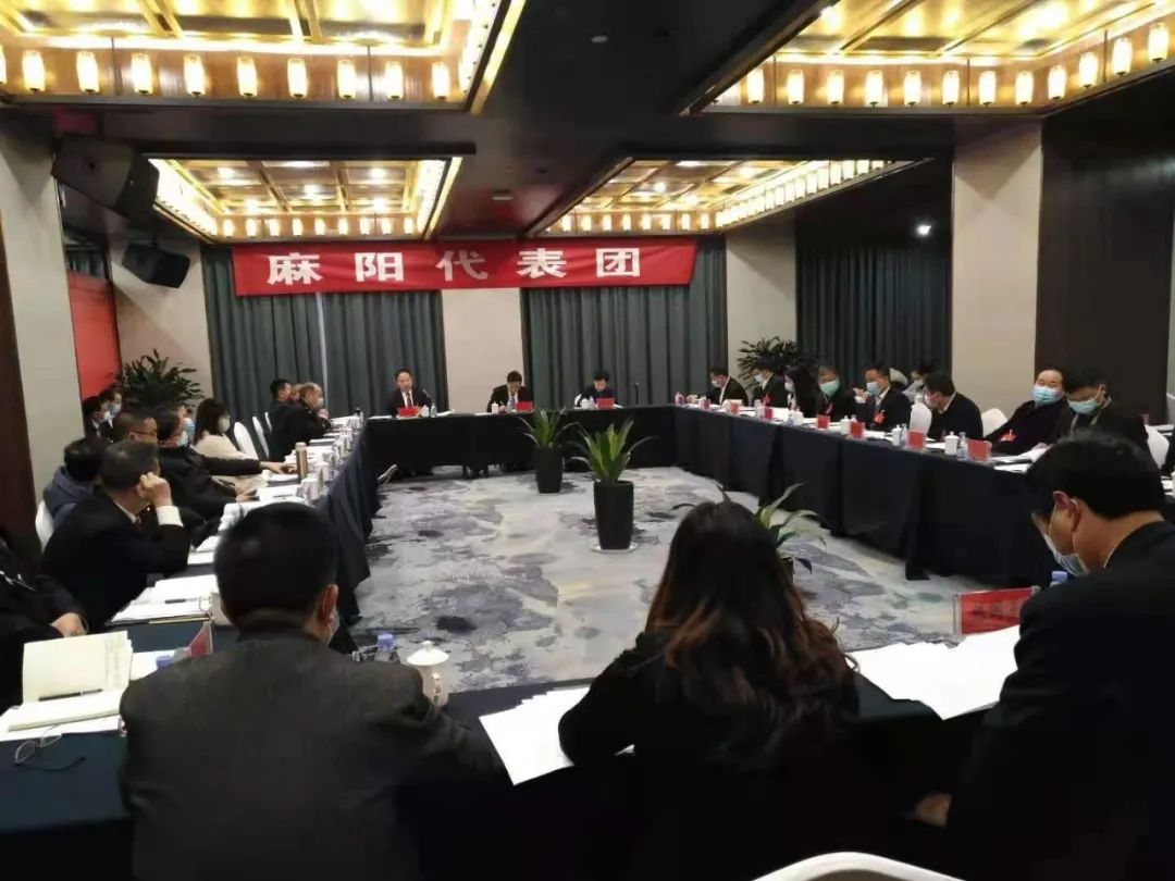 【图片新闻】市五届人大五次会议各代表团举行分组讨论