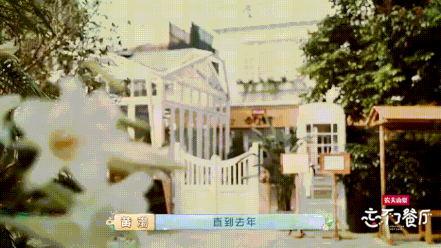 这个8月，哪档综艺最入你的眼？