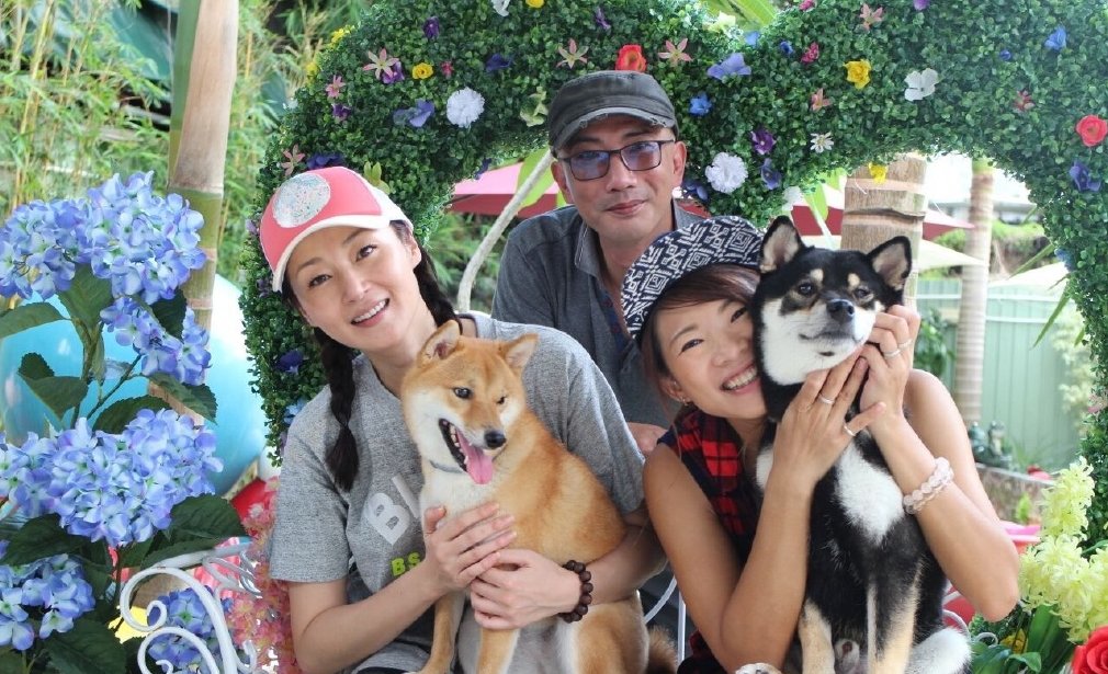 我和僵尸有个约会：“况复生”已娶妻，“白素