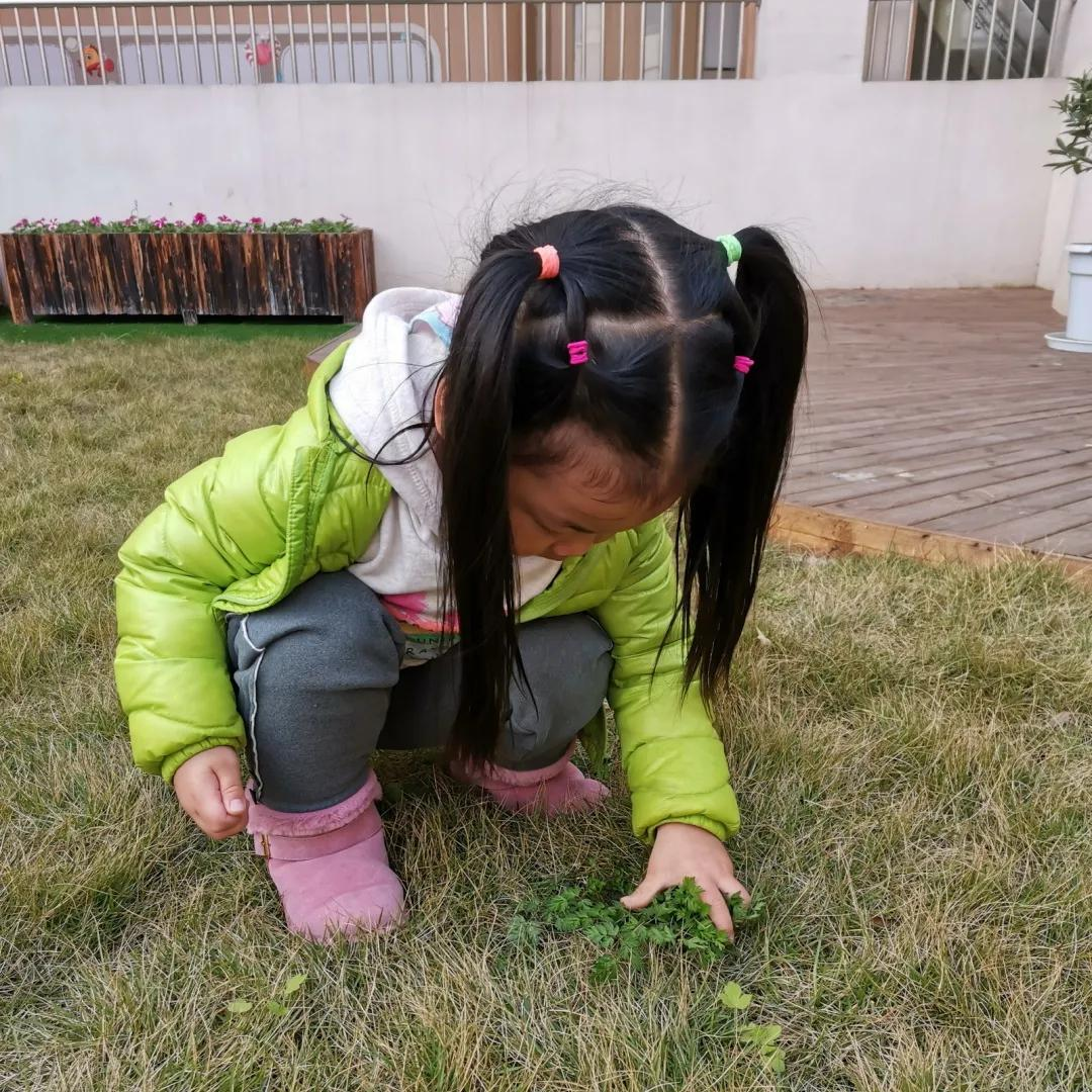 学习雷锋好榜样，童心传递正能量丨天府新区宁安幼儿园学雷锋活动