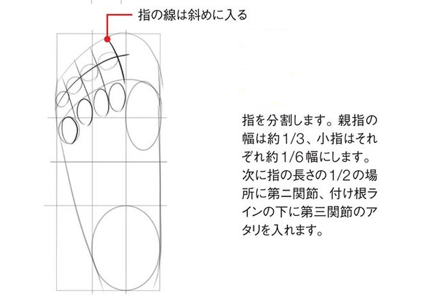 正面脚部怎么画 教你漫画各角度脚部姿势画法 新片场