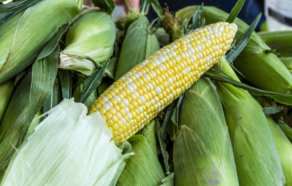 玉米保存有技巧，直接放冰箱冻就错了，多做2步，放一年还很鲜甜