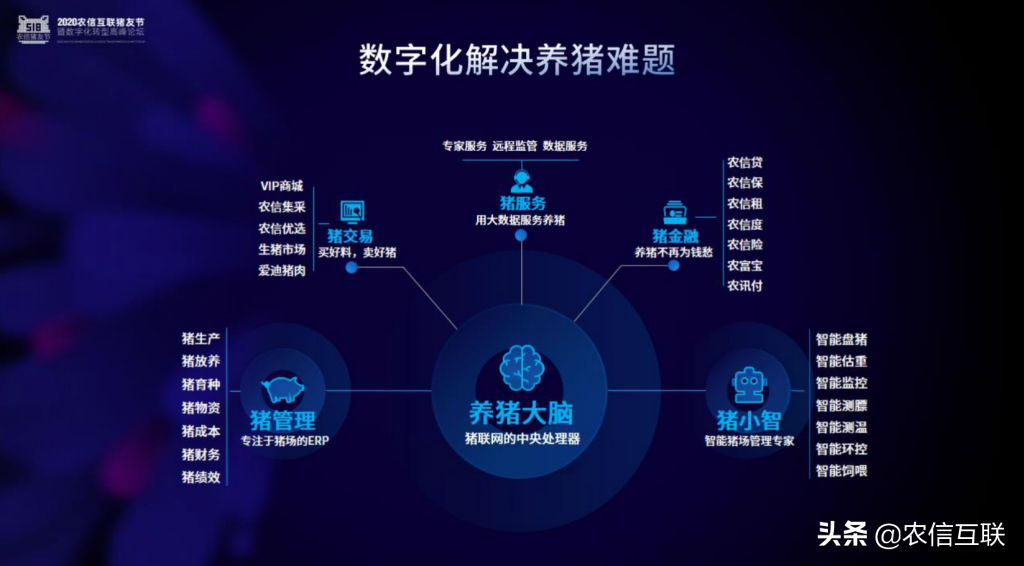 农信互联副总裁于莹：猪产业的涅槃重生 数字化