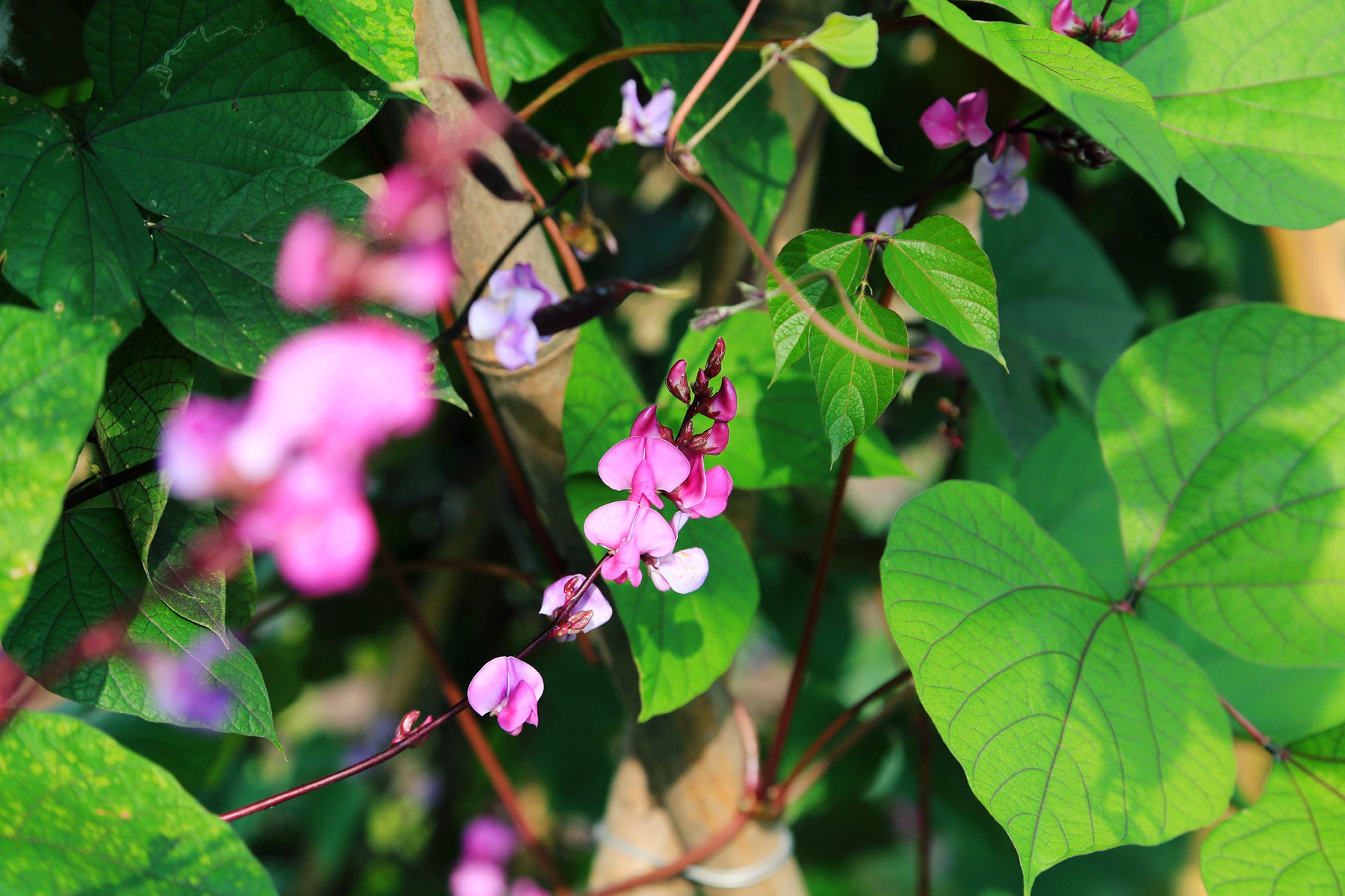 京郊密云小众亲子游，回归田园拥抱自然的超嗨假期