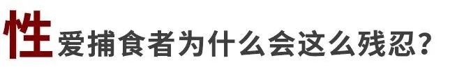 性爱捕食者：他们的爱情只是征服的游戏丨8种信号帮你识别PUA