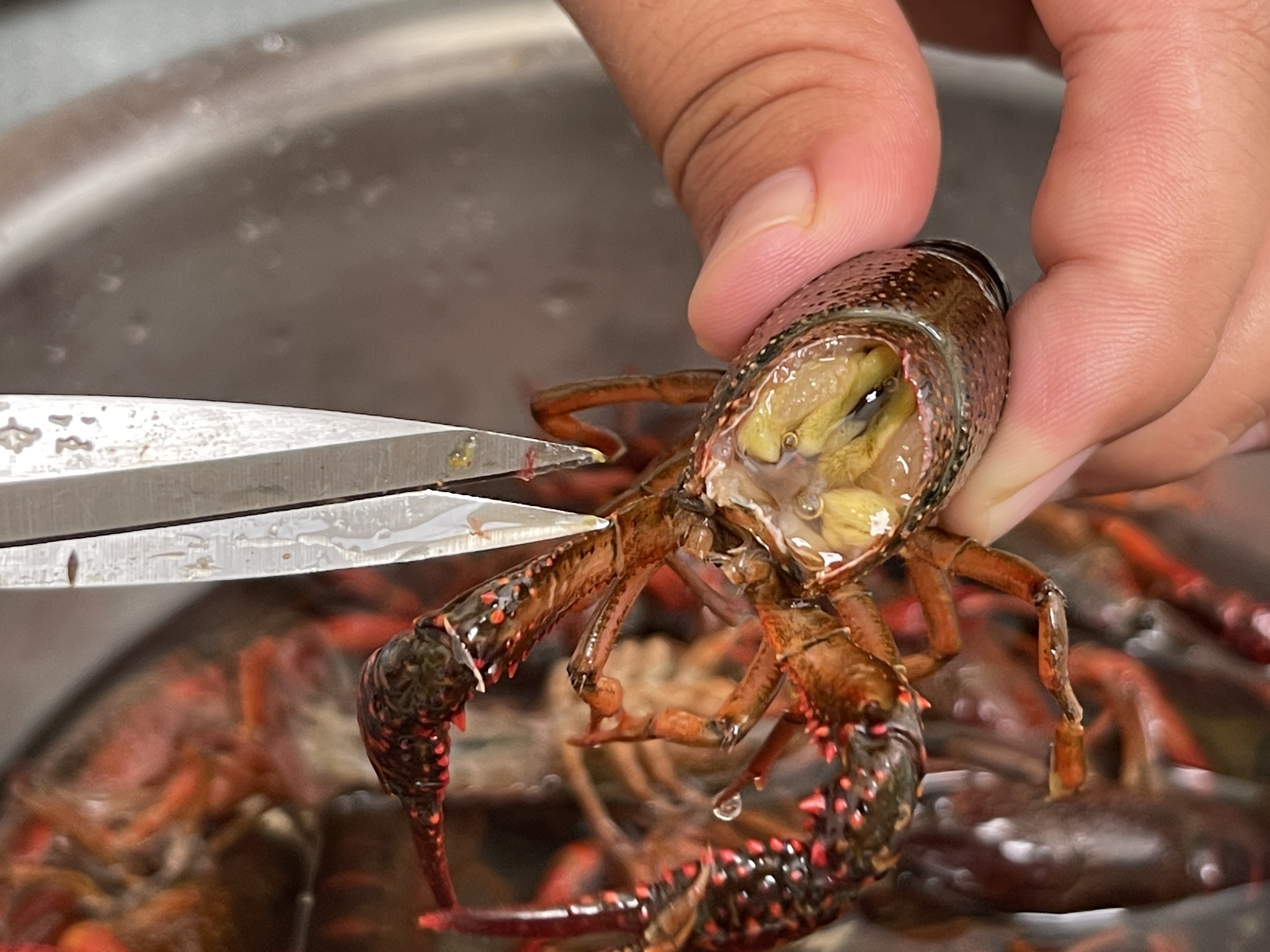 Whether the head of the crayfish is "shit" or "yellow", many people