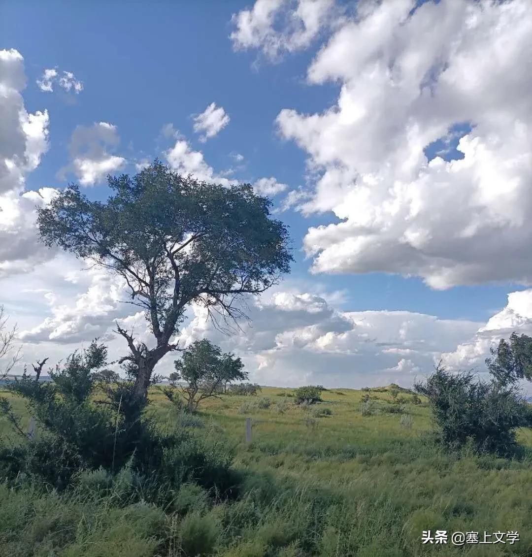 散文诗：寒衣节，写给思念的父亲-第4张图片-诗句网