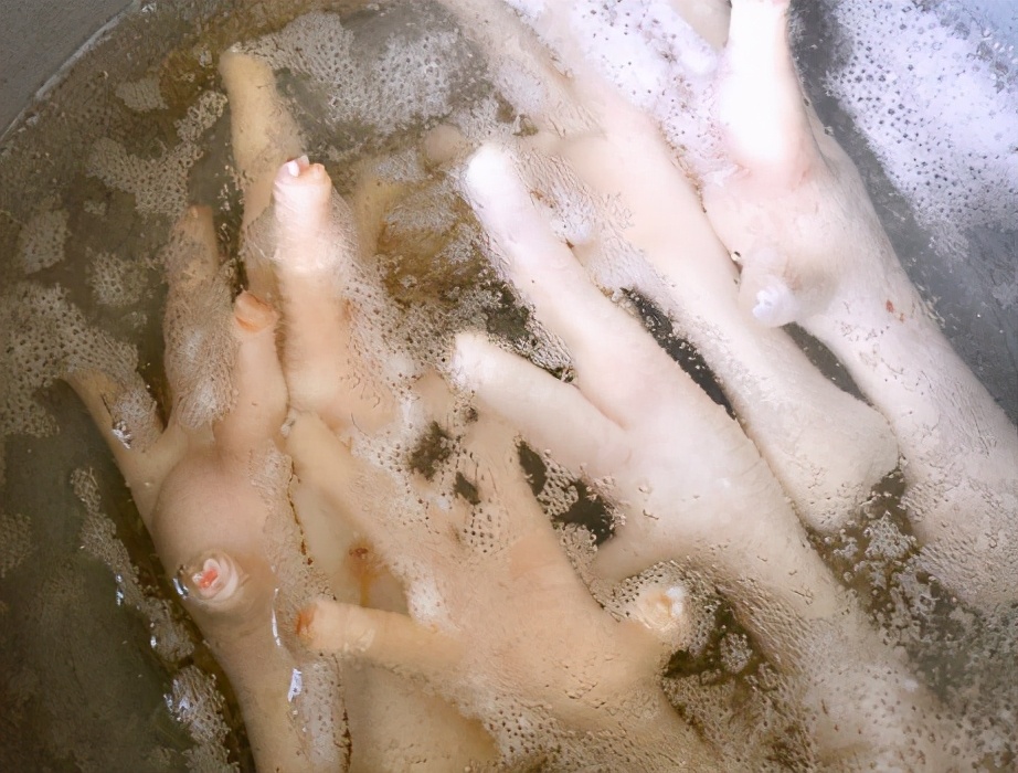 图片[3]-栗子花生鸡脚汤的做法步骤图 常喝皮肤好-起舞食谱网