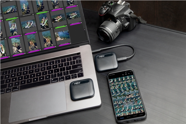 春节畅快，一年牛气！Crucial英睿达春节大促强势来袭