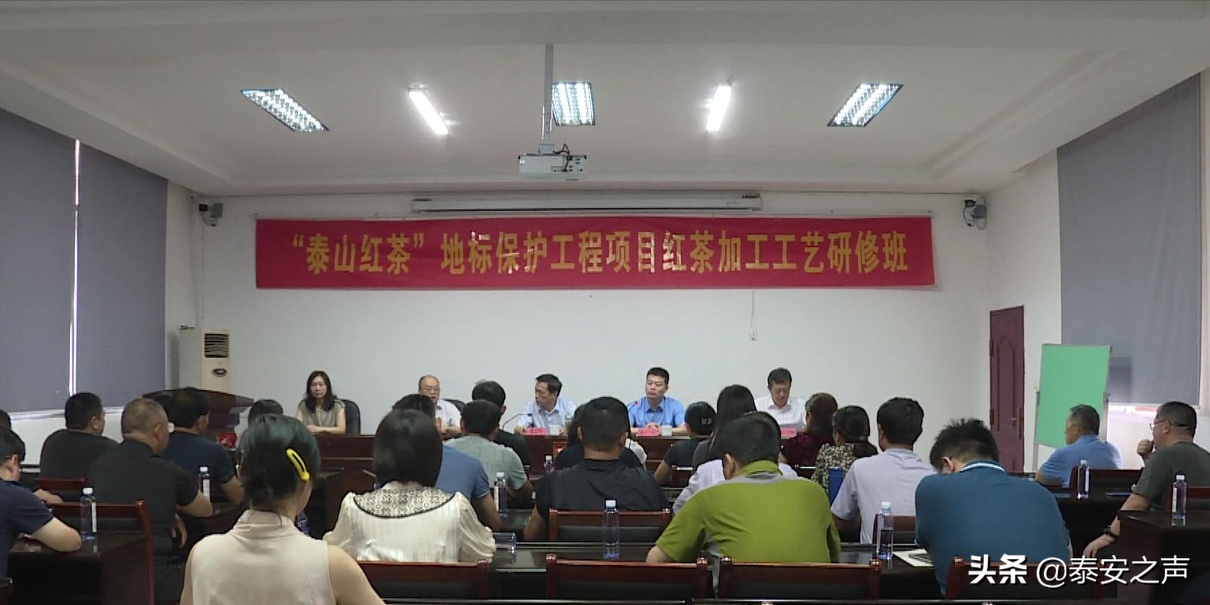 研习技艺 提升品质丨“泰山红茶”工艺研修班福建福安举办