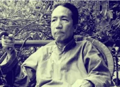 日军搜村闯入大院，老者破口大骂，为何日军官不怒反倒落荒而逃？