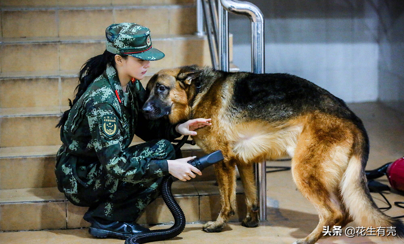 “种菜女神”张馨予：嫁给何捷才明白，双向奔