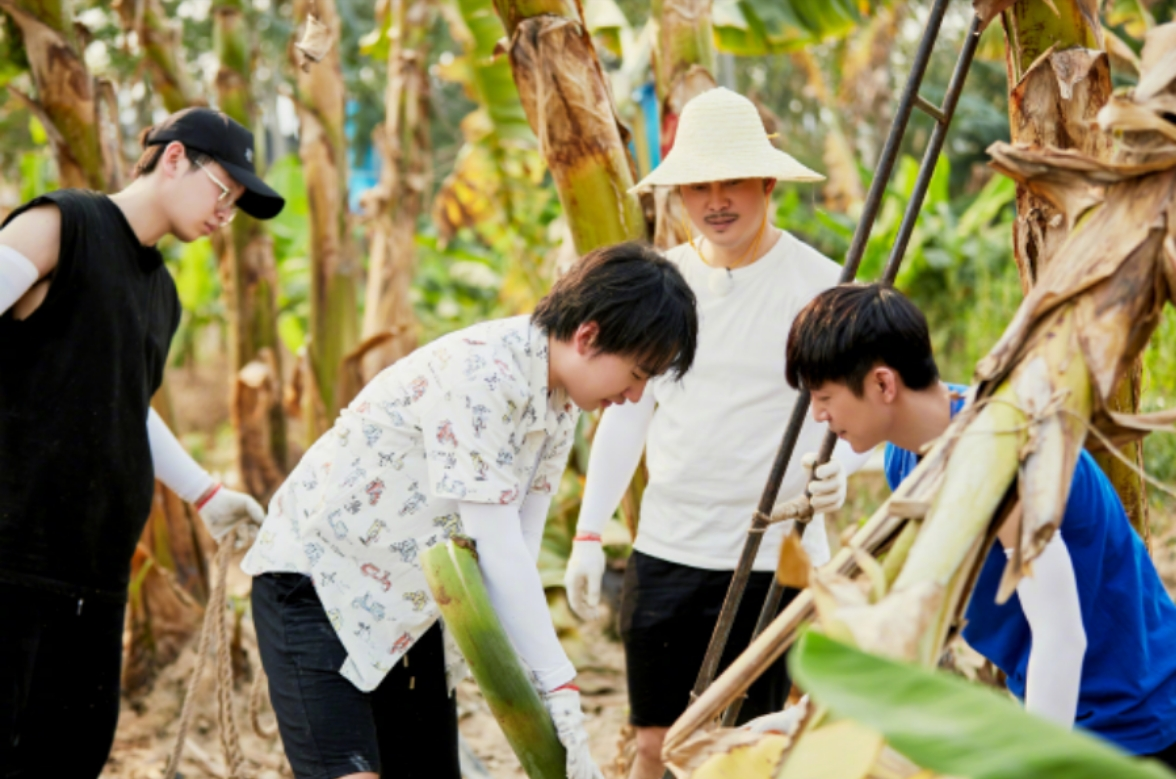 被指作秀？《向往4》来了点“颜色”，累瘫一众嘉宾