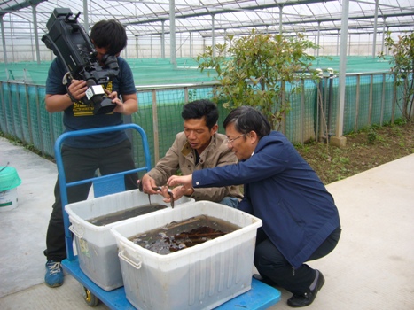 八年的经验之谈：养殖黄鳝的风险大，请不要轻易地去尝试